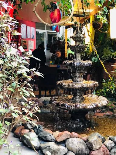 Chafariz e ambiente relaxante no jardim interno
